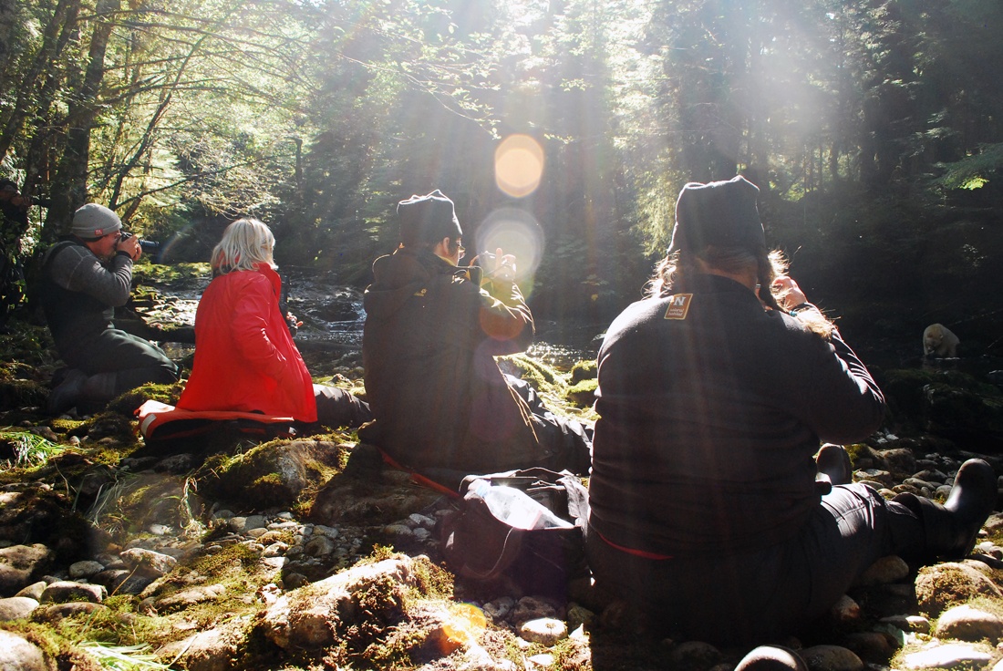 SpiritBears2014_MKoelemay_1720