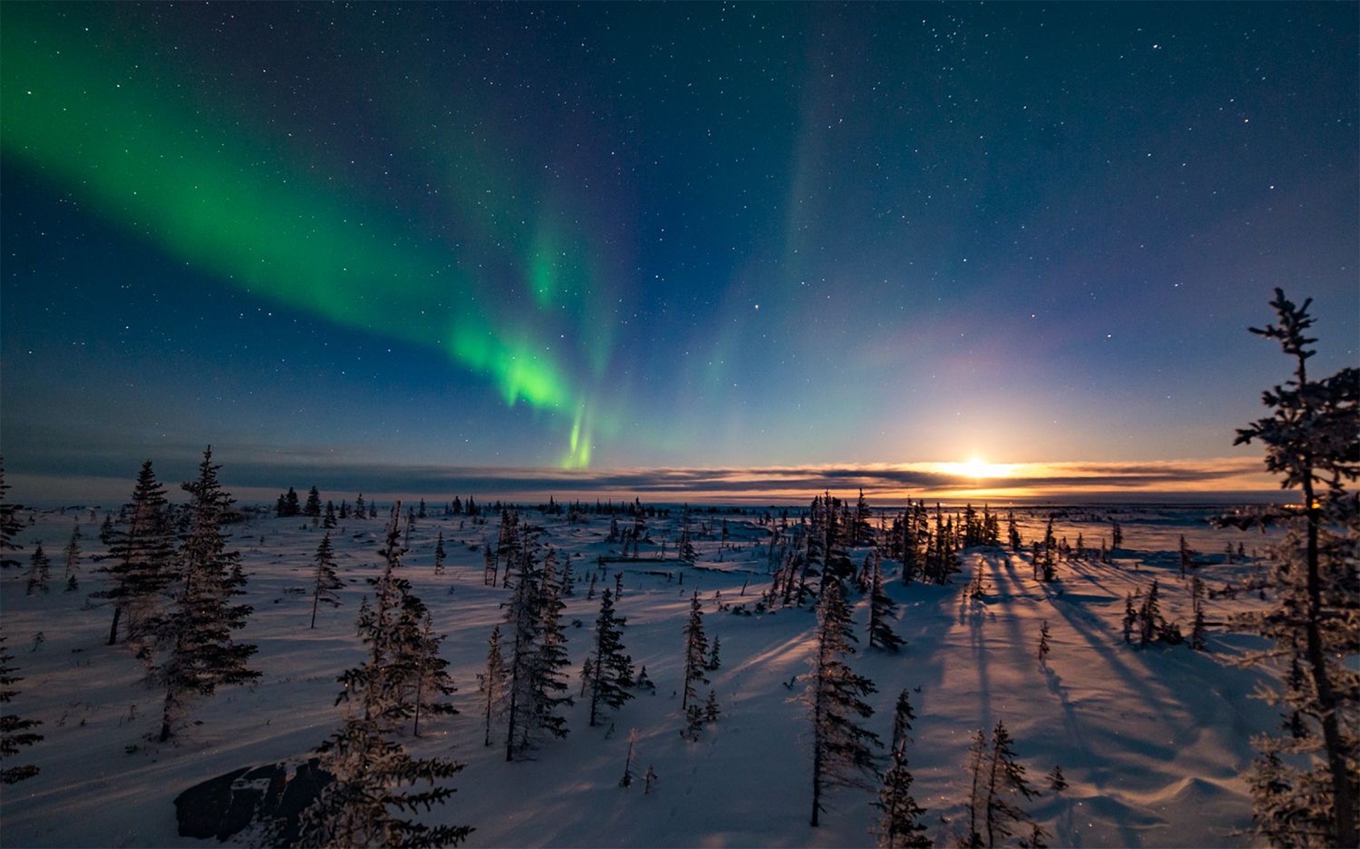 Northern lights display dance around setting sun in winter wonderland landscape